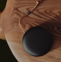 Bang & Olufsen Beosound A1