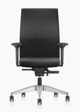 LX184 Premium desk chair